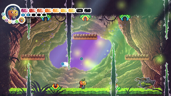 Count Pumpculafor windows and Linux 1