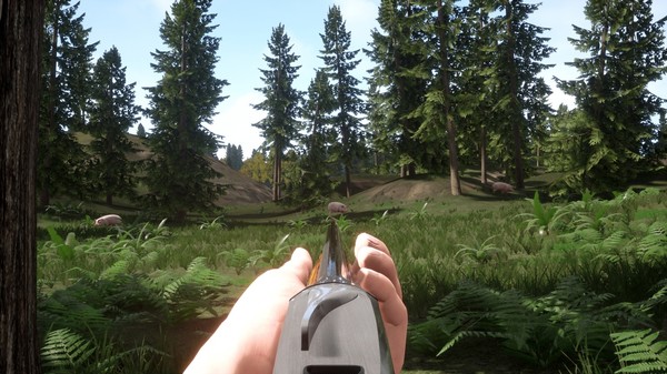 Скриншот из Russian Hunter