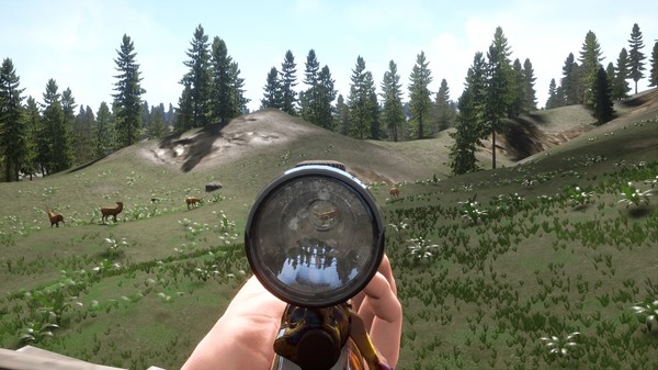 Скриншот из Russian Hunter