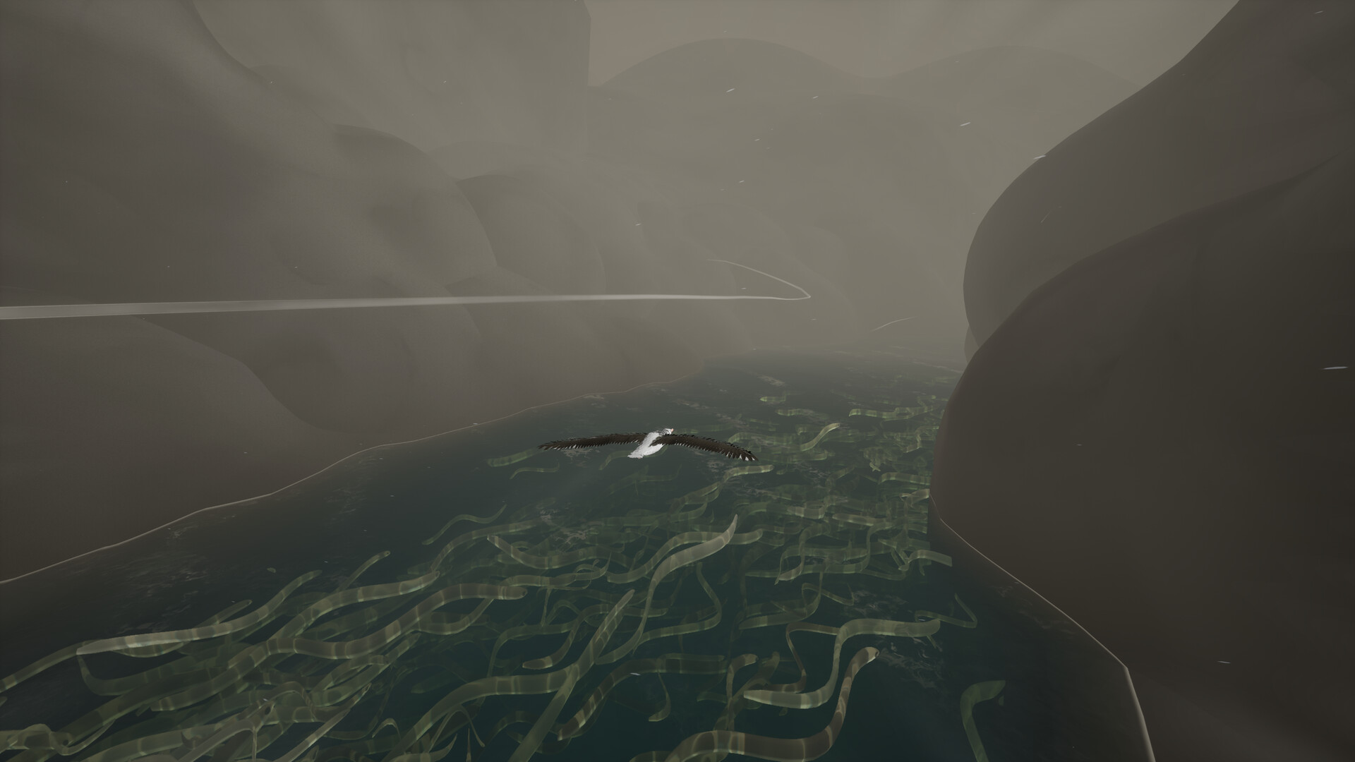 screenshot of Toroa: Skycall 2