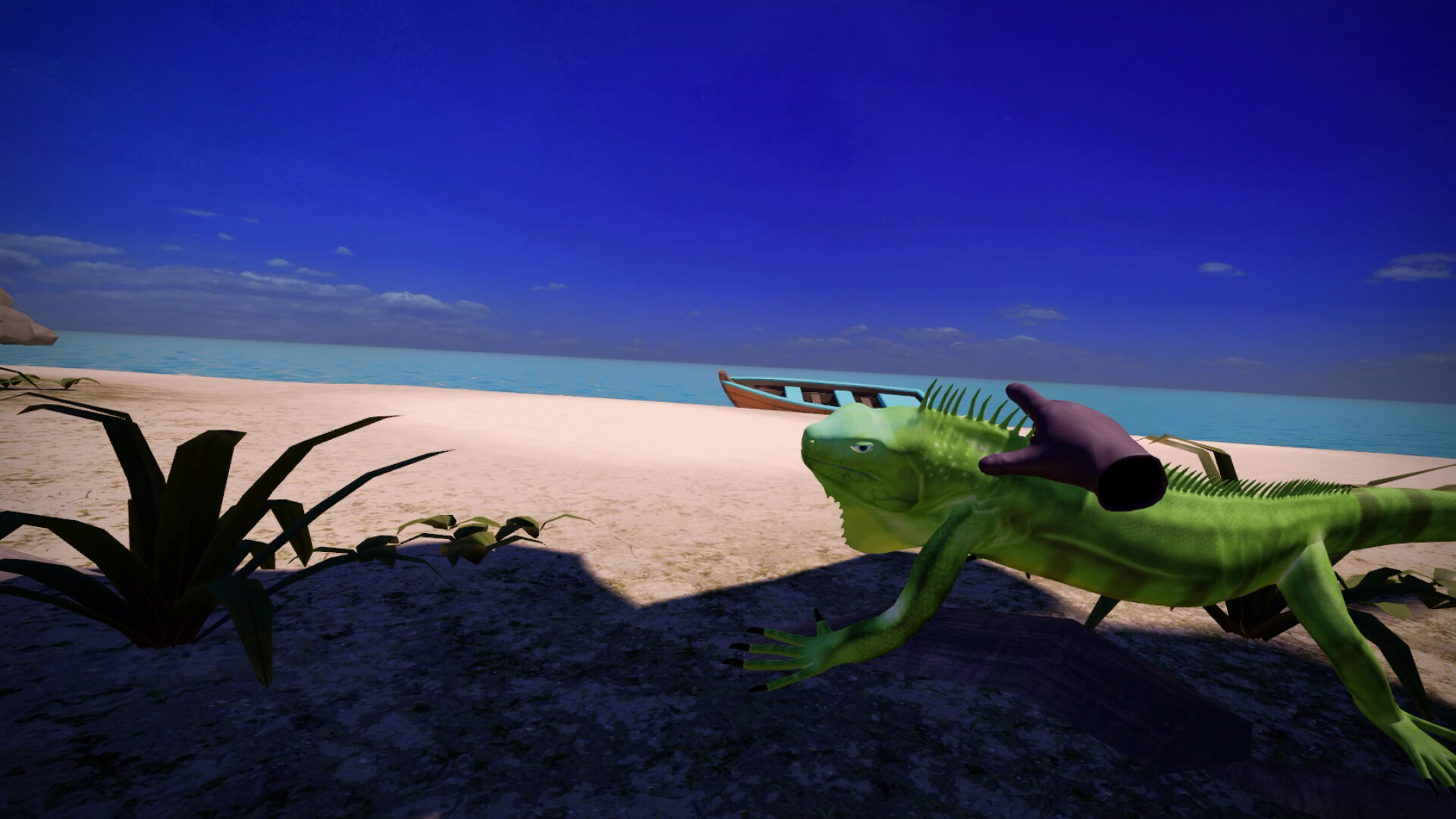 Morels: Homestead #9