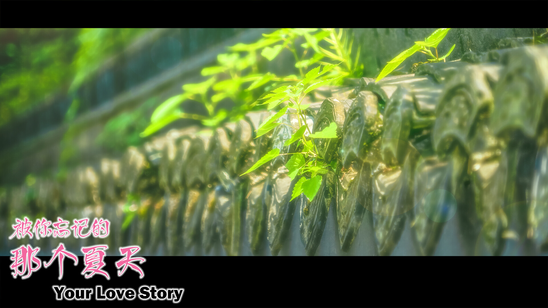Your Love Story 被你忘记的那个夏天 #16