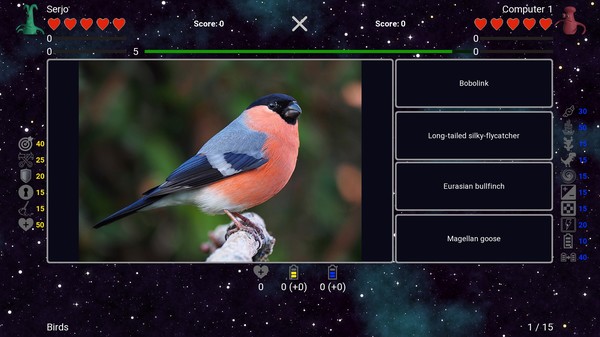 I've Seen Everything - Birds