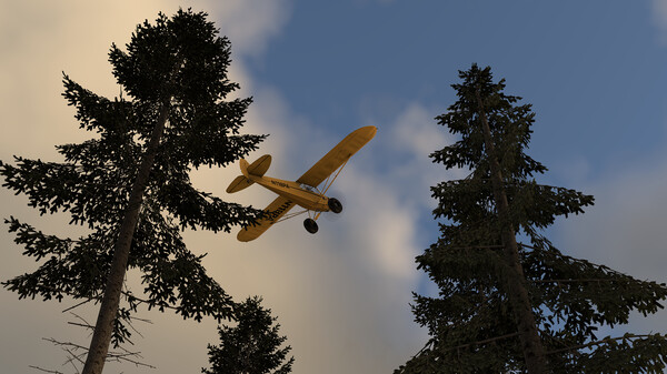 Скриншот №3 к X-Plane 12