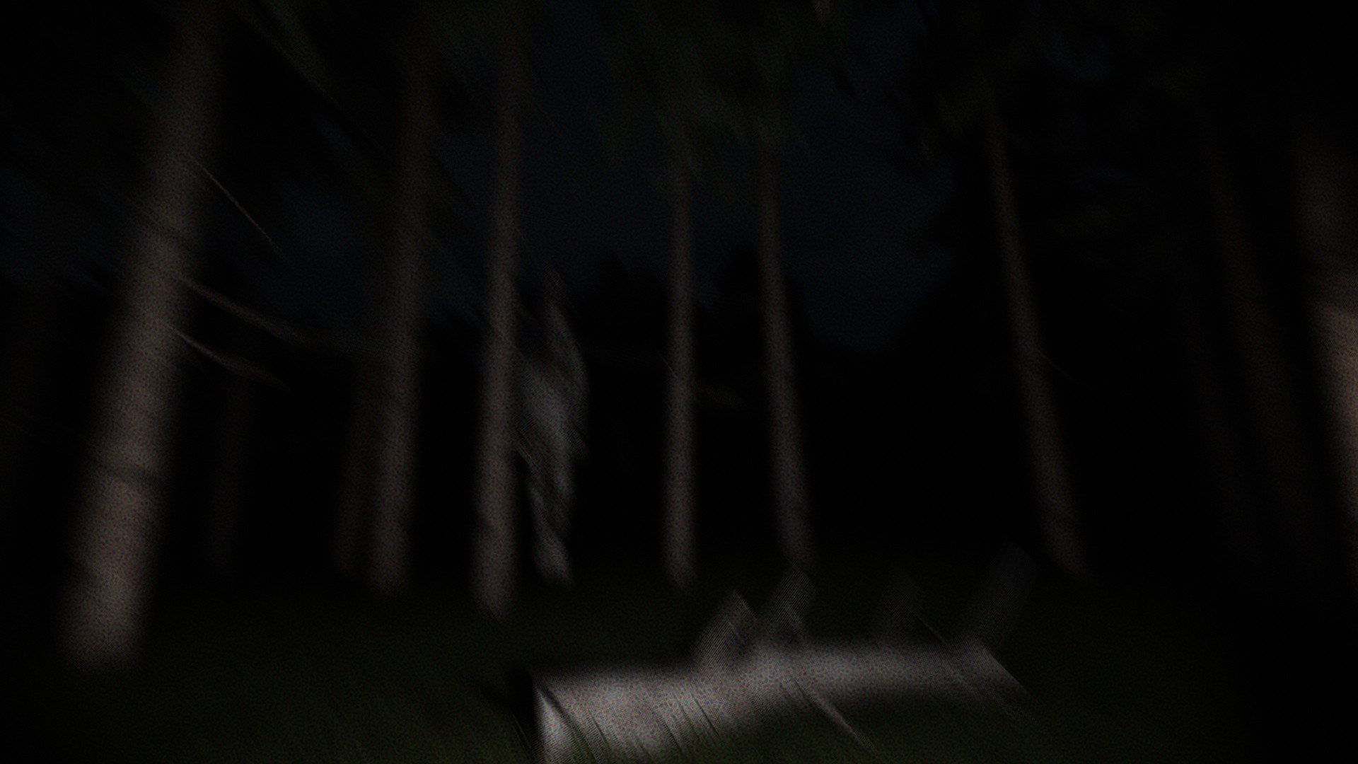 PHOBOS Project Demo #0