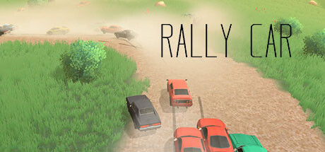 Rally Car Cover Image