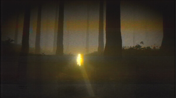 Shadows of Taumielfor windows and Linux 1