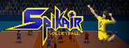 Spikair Volleyball Playtest