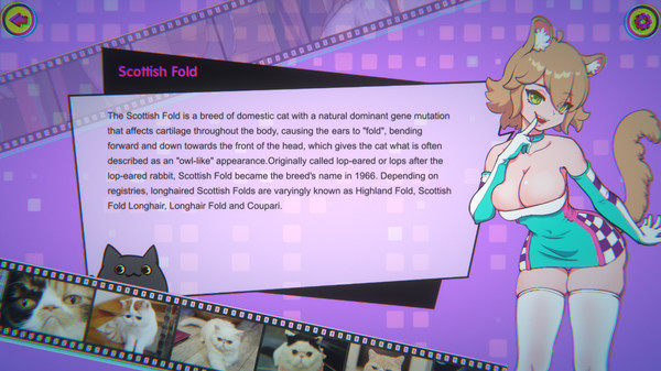 Miss Neko 3 game for windows Pc 1