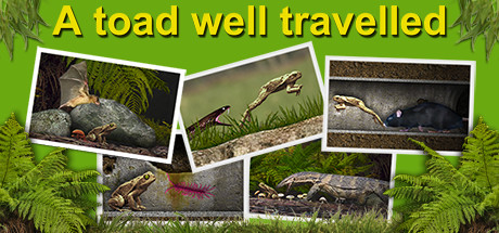 A toad well travelled Cover Image