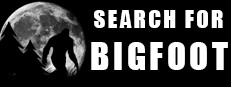 Search 4 Bigfoot