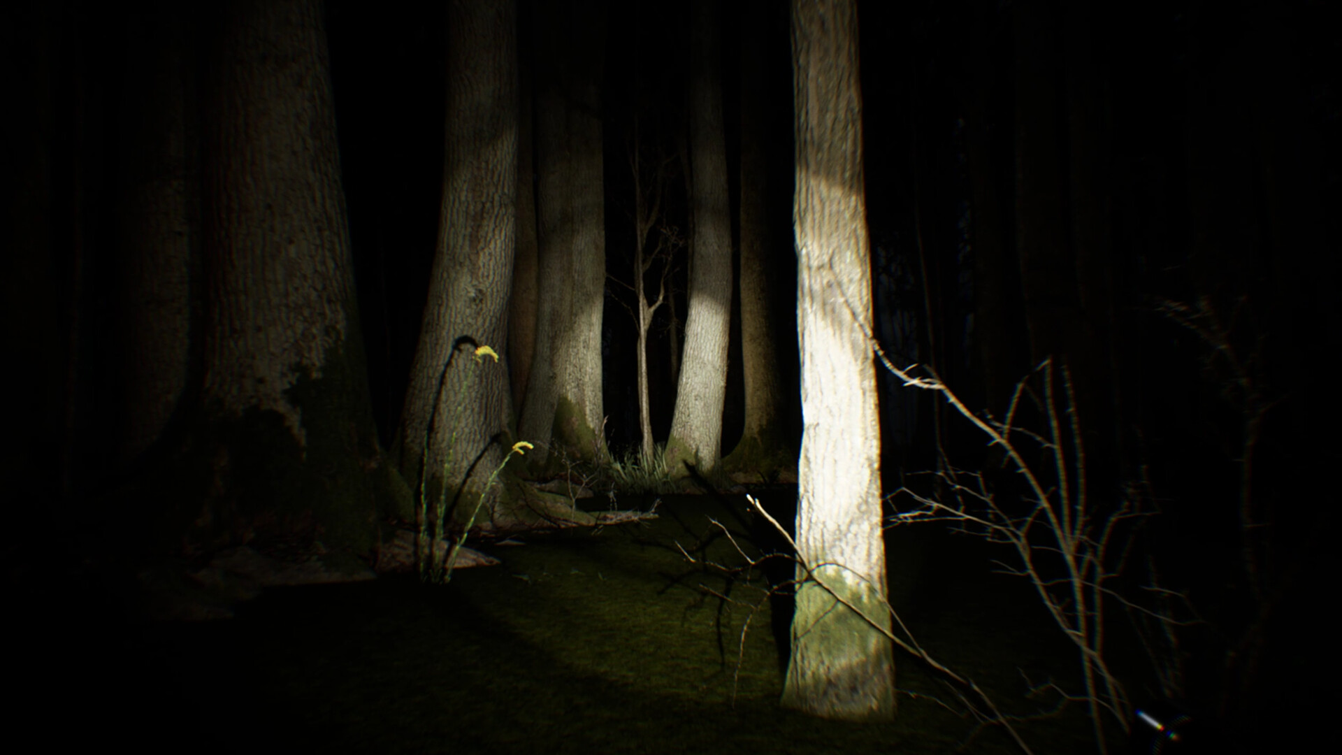 Bigfoot Forest no Steam