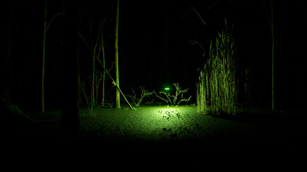 Скриншот из Search 4 Bigfoot