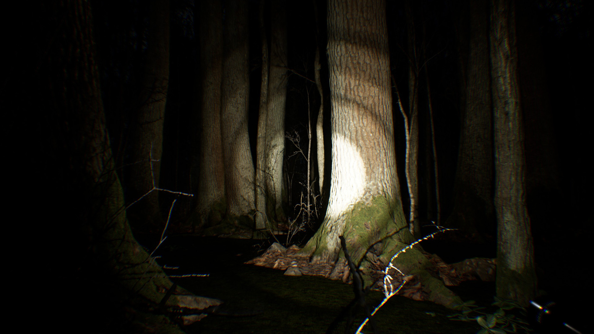 Bigfoot Forest no Steam