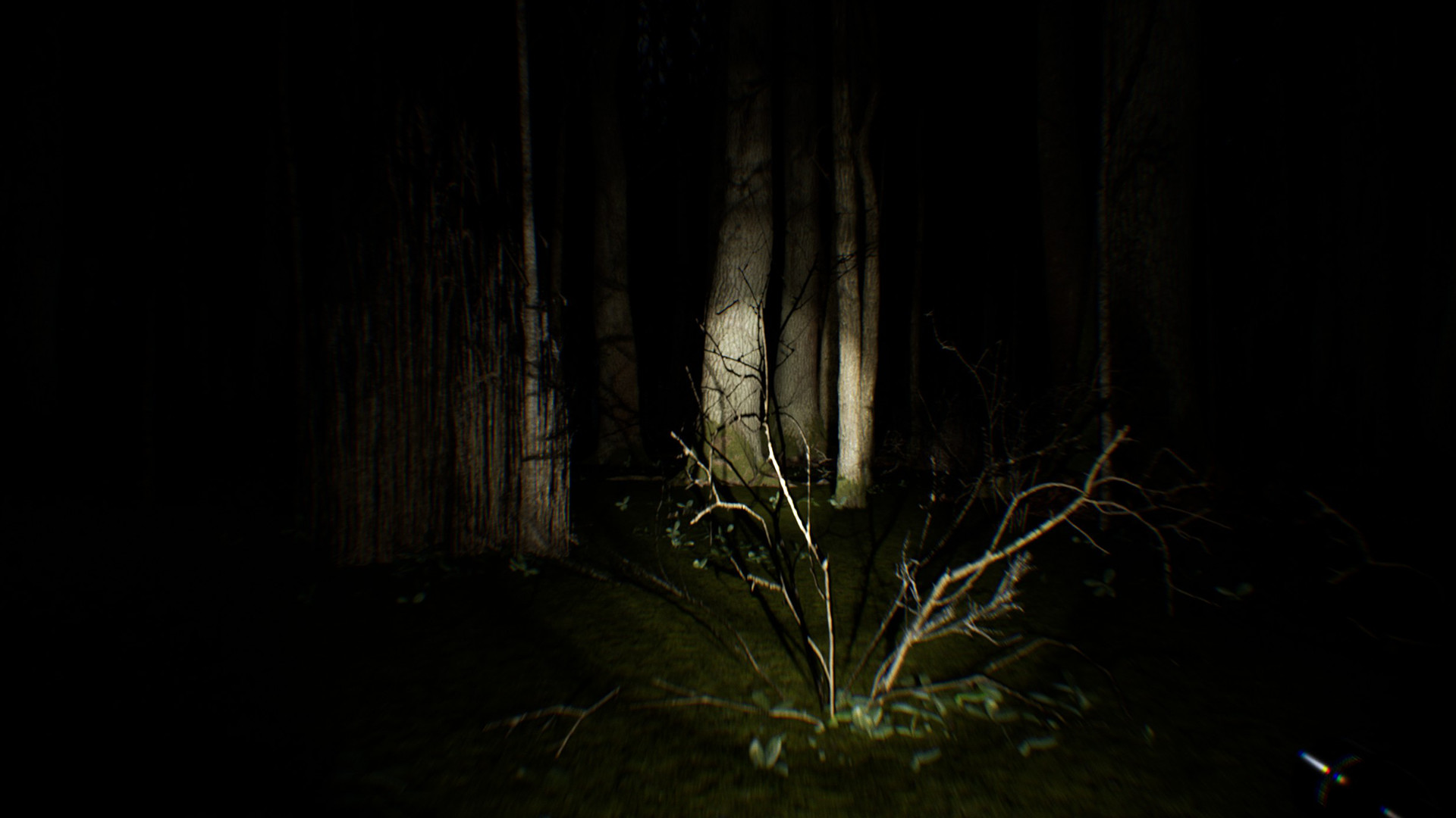 Bigfoot Forest no Steam