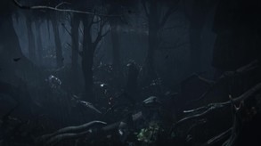 Wraith Trailer