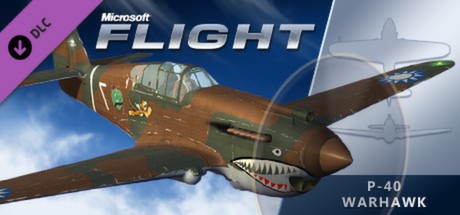 Microsoft Flight: P-40 banner