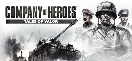 company of heroes tales of valor glitchy screen