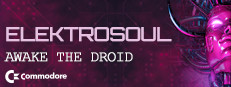 Elektrosoul