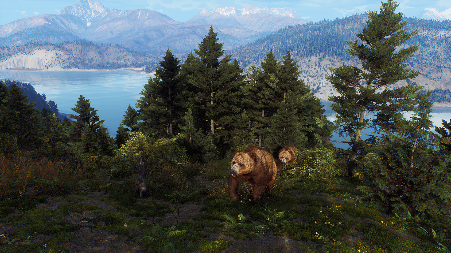 Way of the Hunter - Aurora Shores screenshot screenshot 15