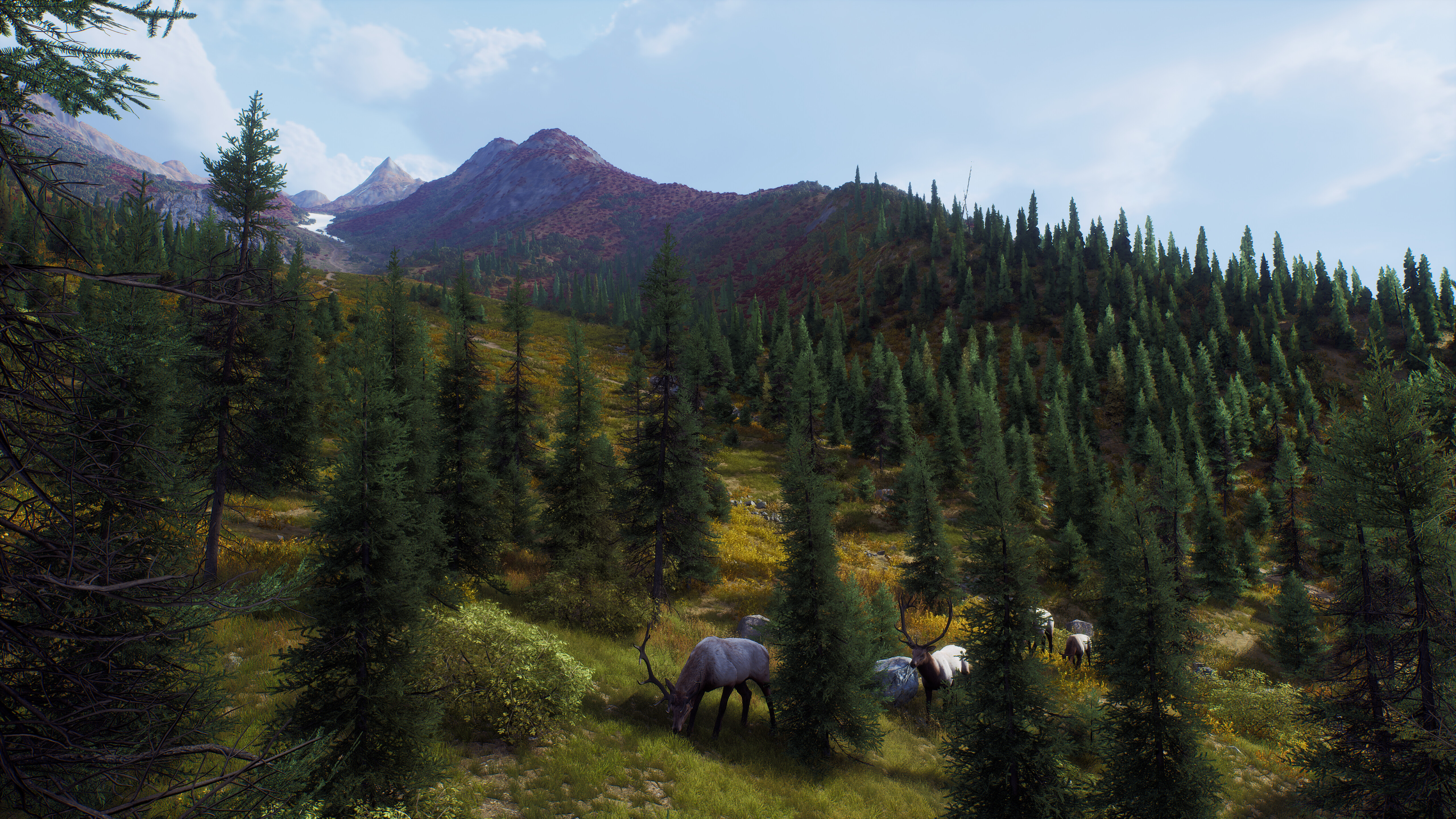 Way of the Hunter - Aurora Shores Free Download for PC