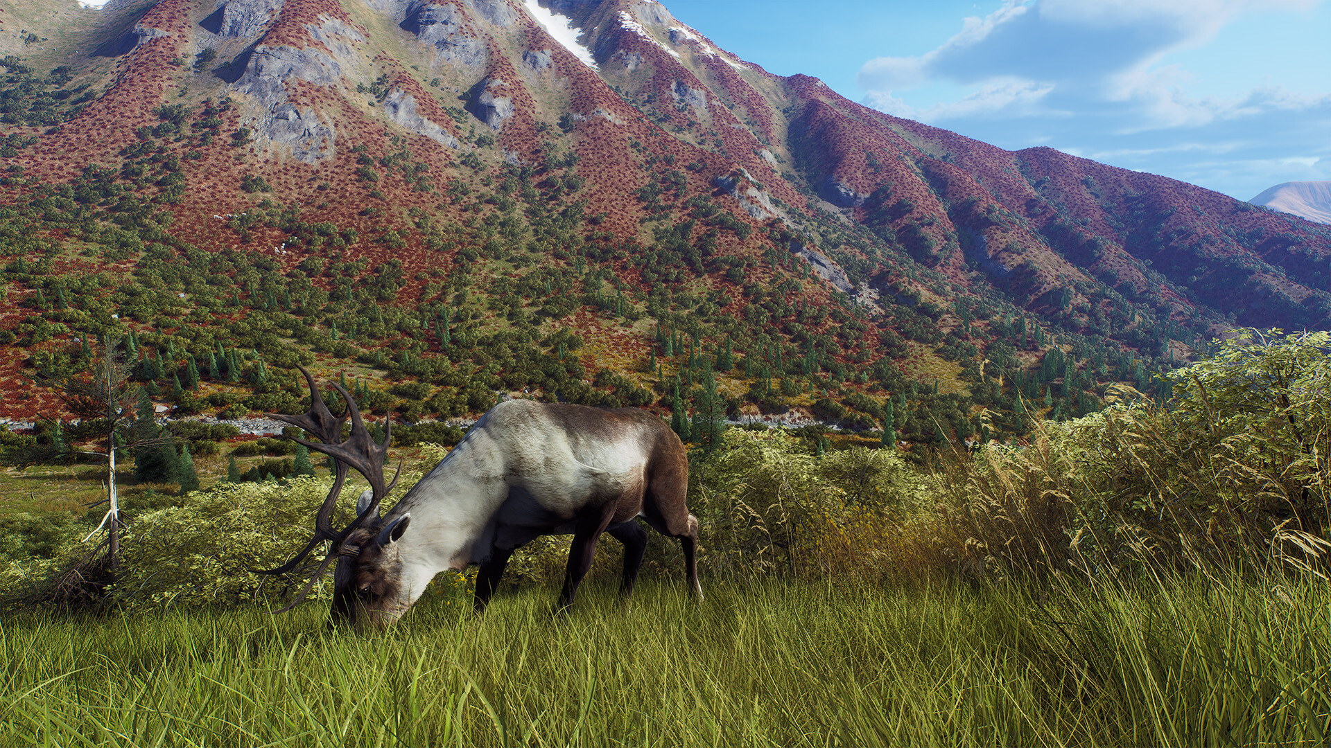 Way of the Hunter - Aurora Shores #20