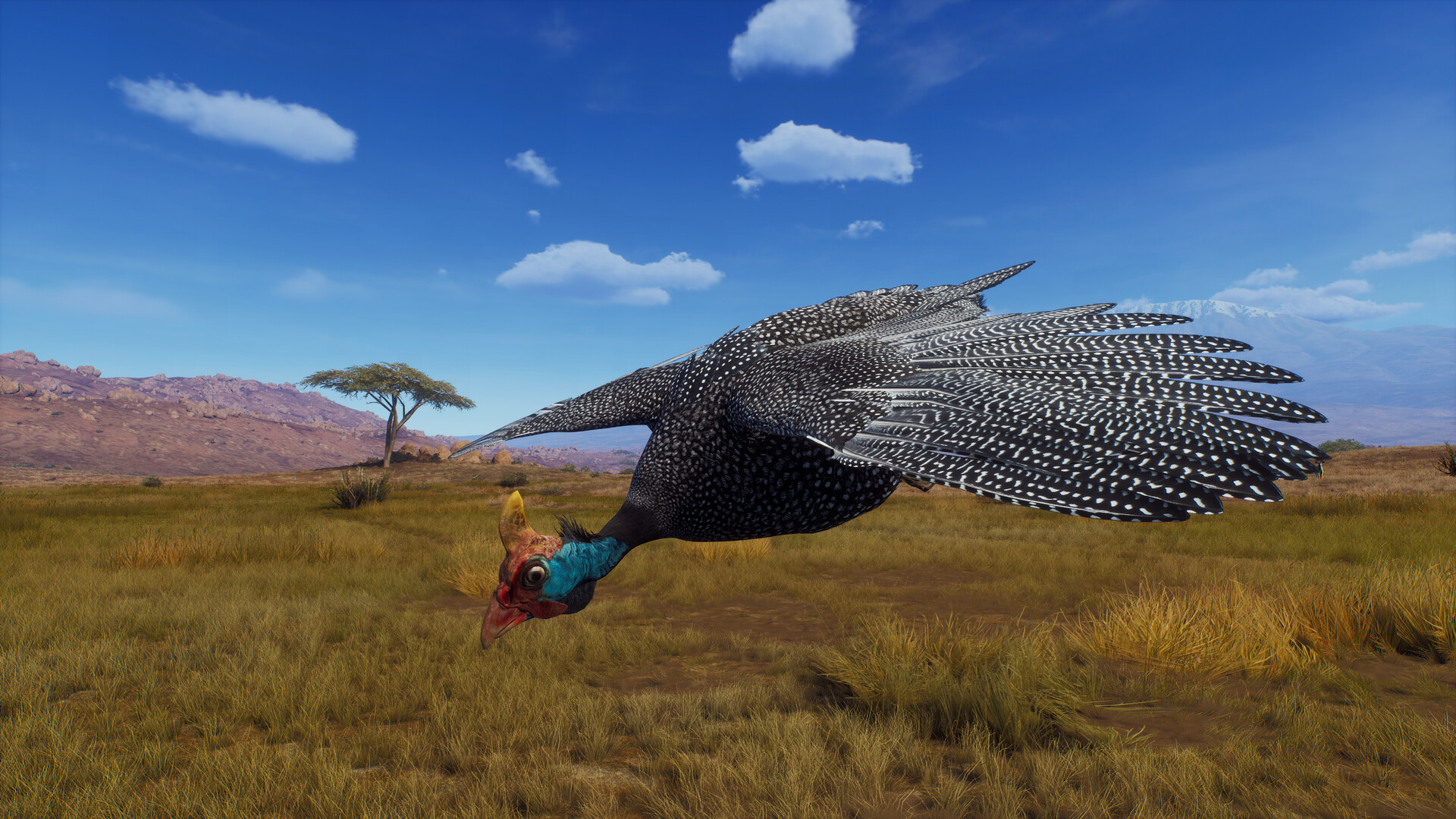 Way of the Hunter - Tikamoon Plains #4