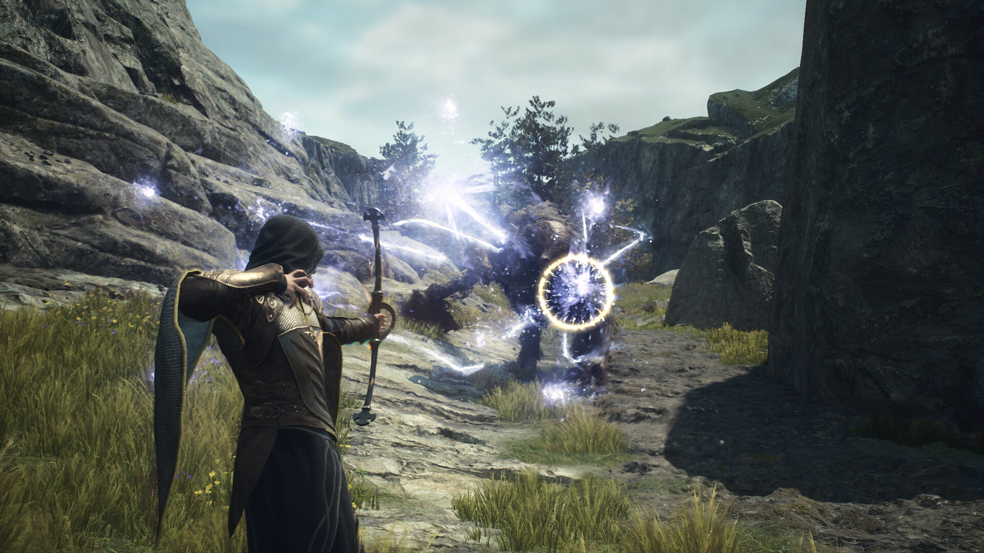 Dragon's Dogma: Dark Arisen on Steam