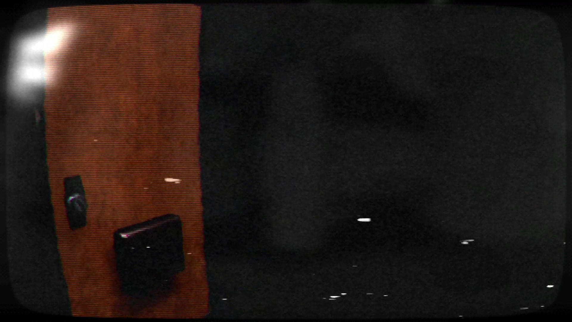 Pandemic 1993 screenshot 5