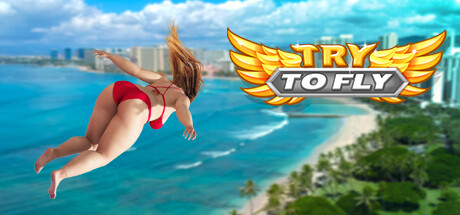 Try to Fly banner image