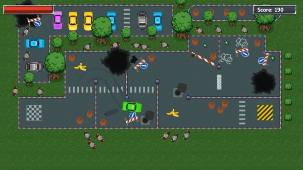 Inexperienced Driver