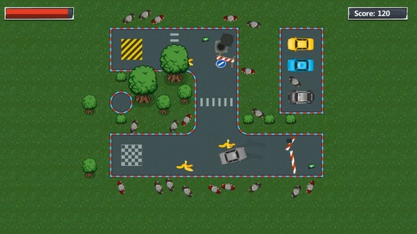 Inexperienced Driver