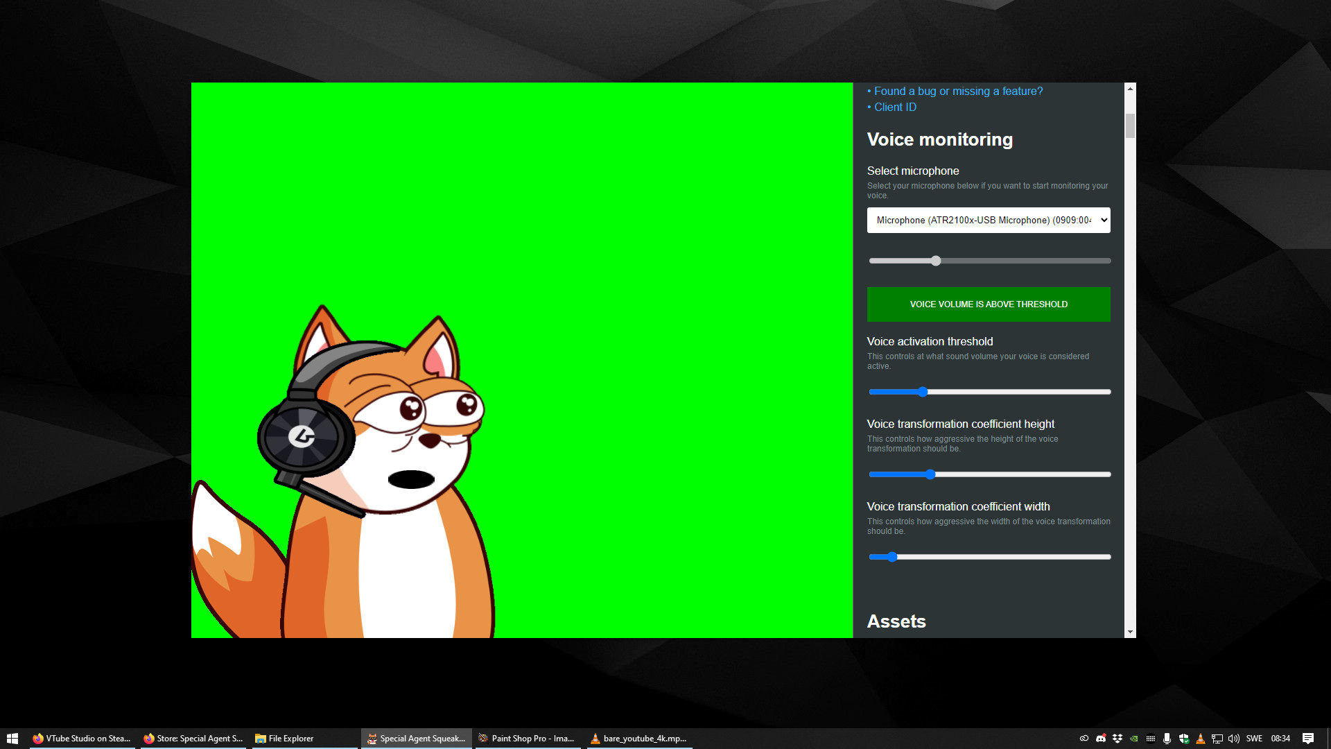 Special Agent Squeaky's Simple VTubing App #3
