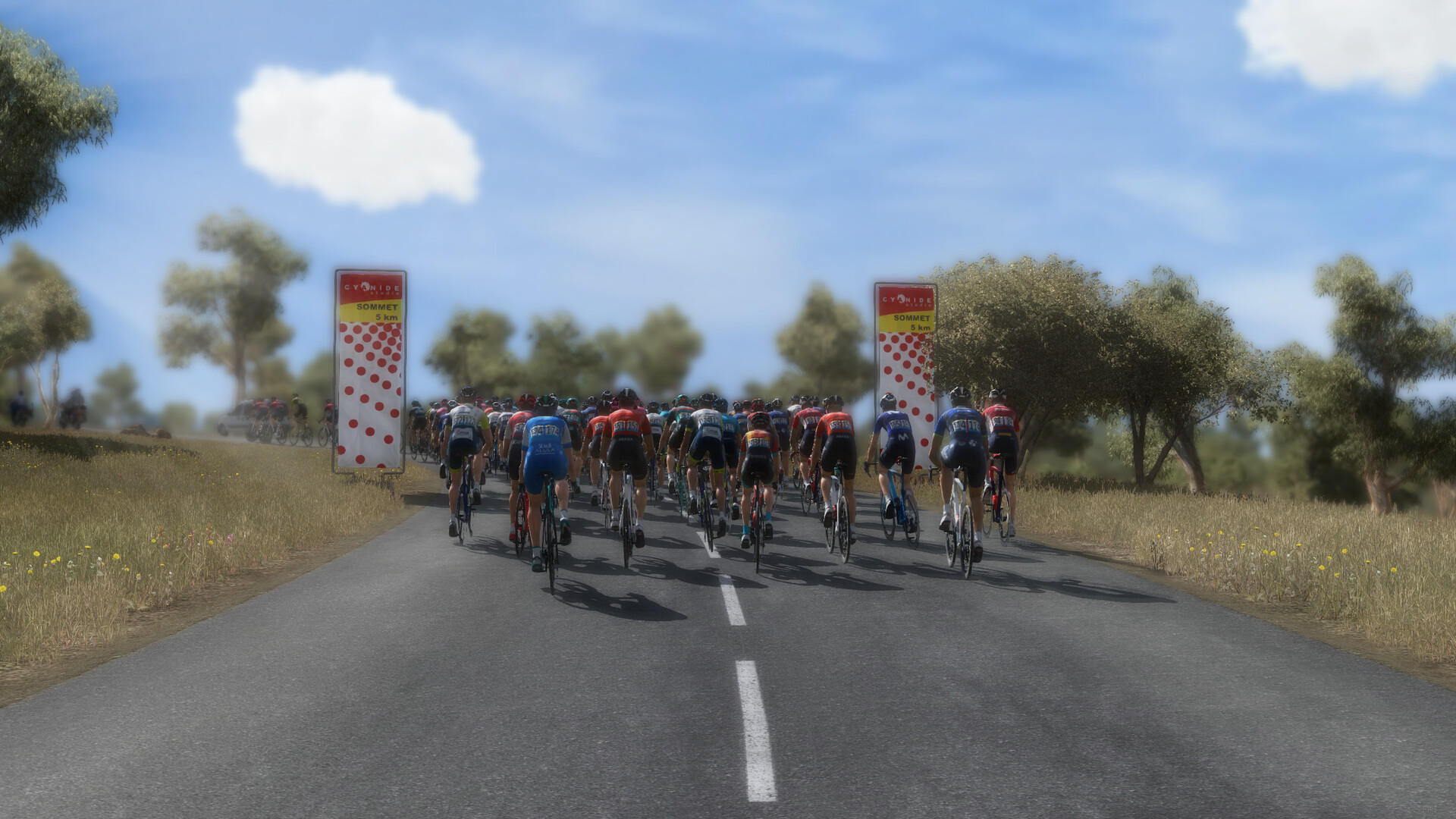 Pro Cycling Manager 2023, la recensione 