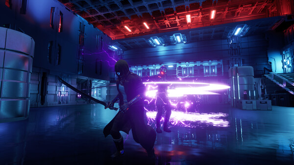 Lifespace Travelerfor windows and Linux 1