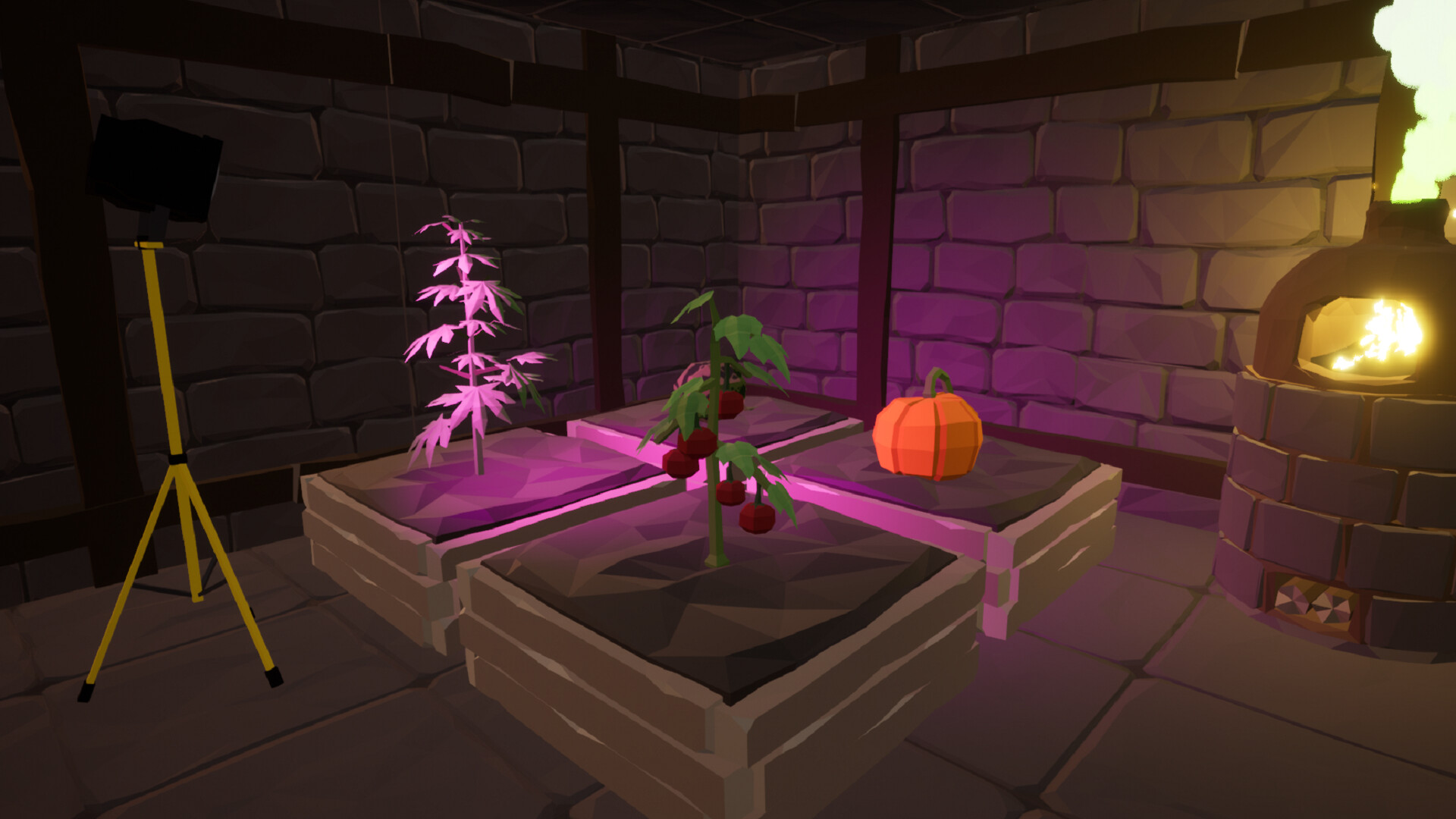 Polygeddon: Survival #11