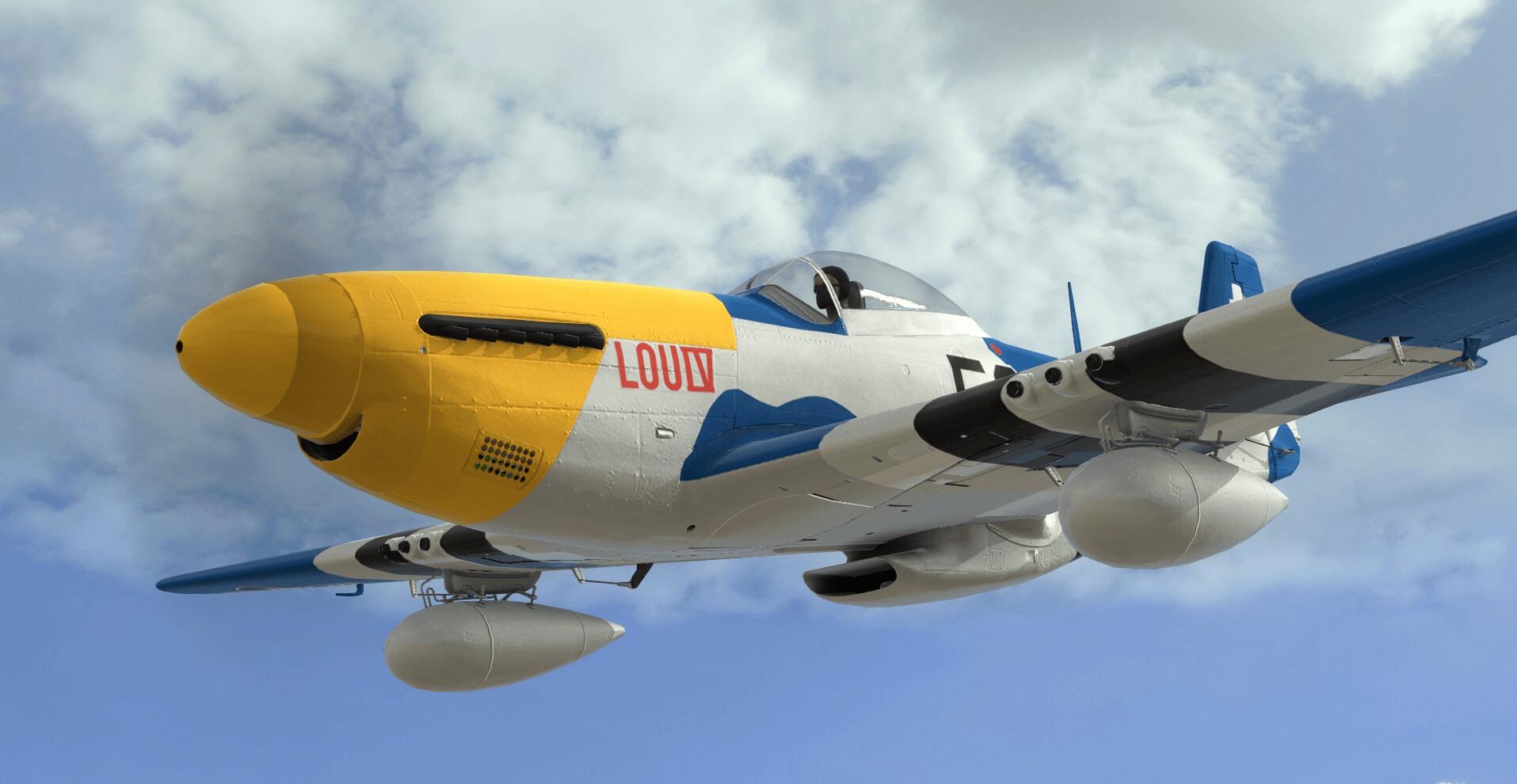 RealFlight Evolution #17