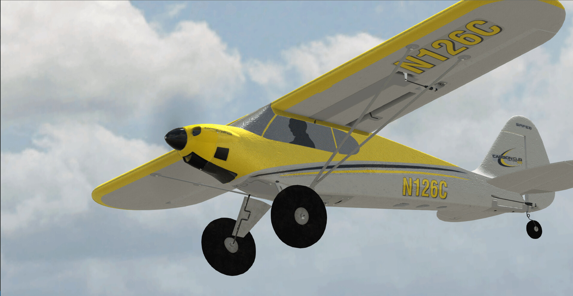 RealFlight Evolution #27