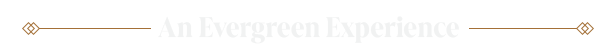 IOI_Steam_About_the_Game_Banner_5-Title-Experience_EN.png?t=1709329968