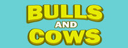 Bulls and Cows