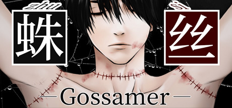 蛛丝-Gossamer Cover Image