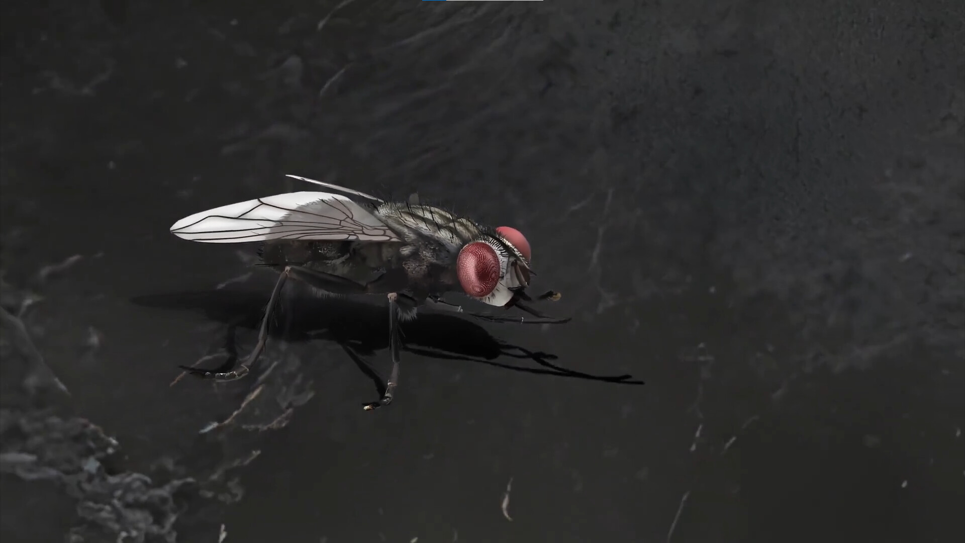 残秽的我们2:普渡慈航 Filthy us 2 -(Build.11170651-人物表情-重新混音-(官中+中文语音))