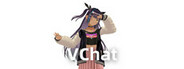 VChat