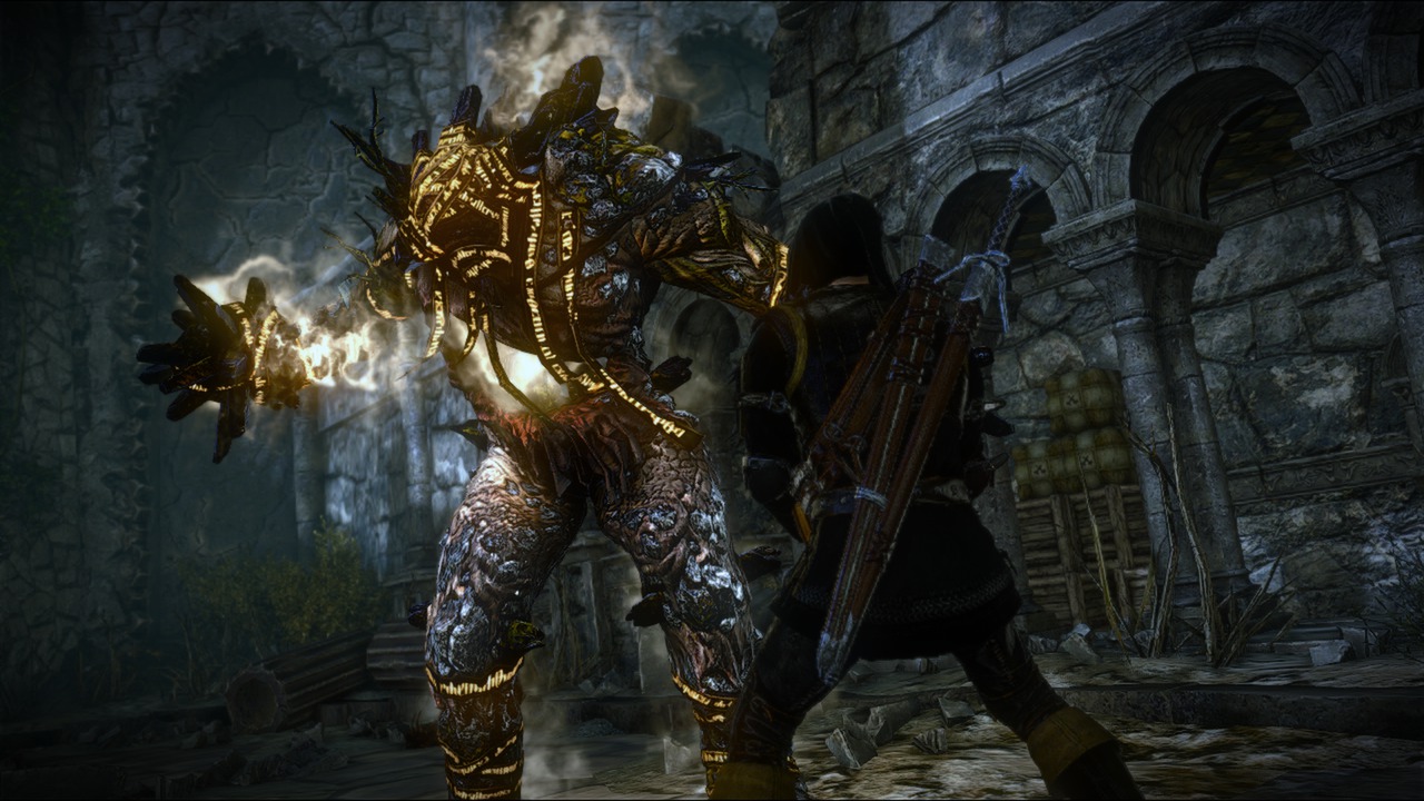 Comunidade Steam :: Captura de Ecrã :: The Witcher 2 Collector's Edition