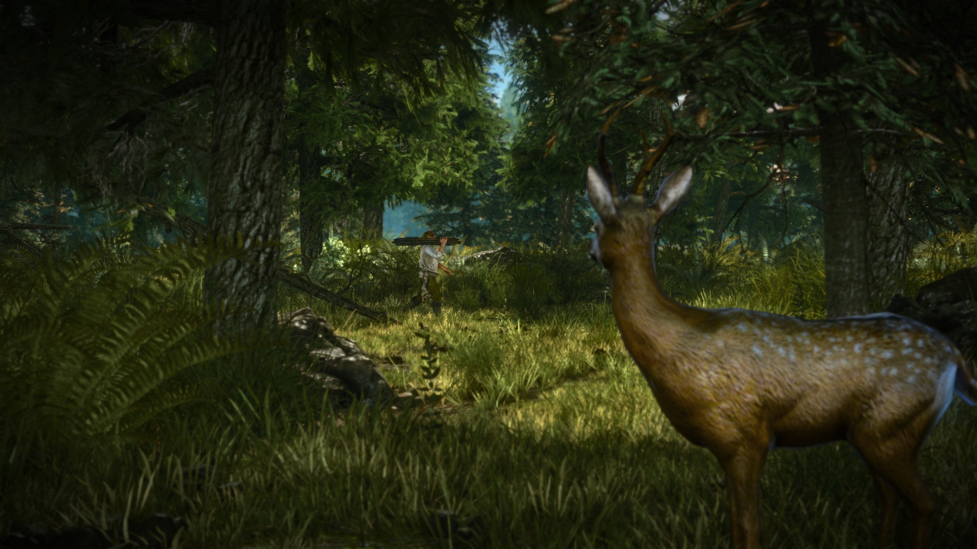The Witcher 2: Assassins of Kings Enhanced Edition screenshot 3