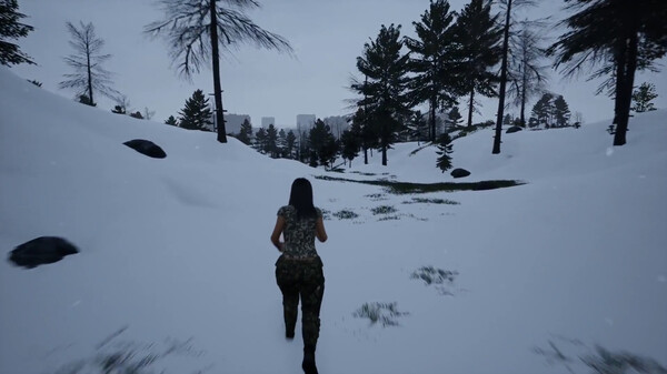 Скриншот из SoleSurvivor