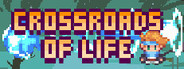 Crossroads of life