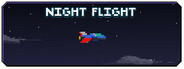 Night Flight