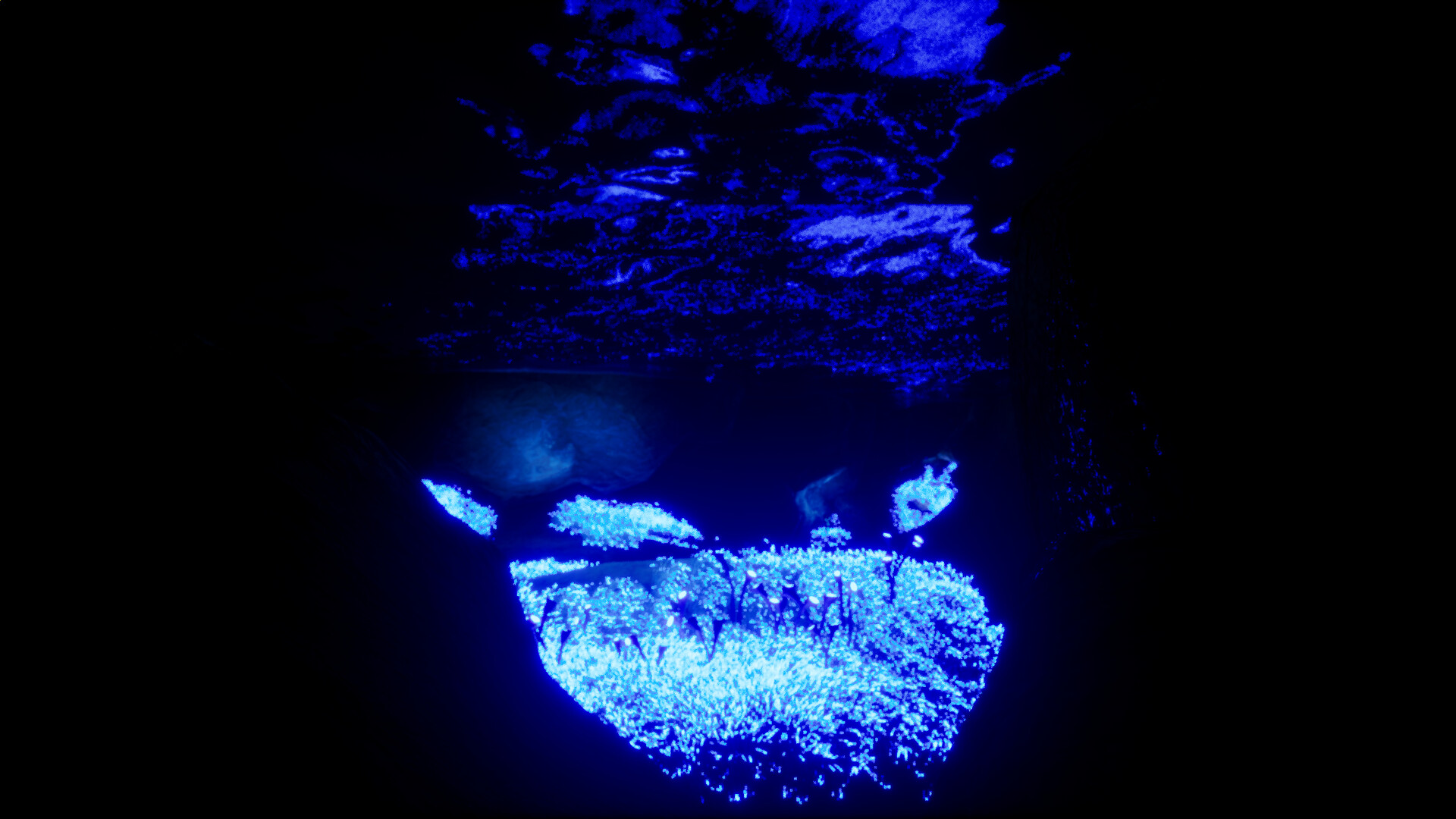 Arise from Shadows #11