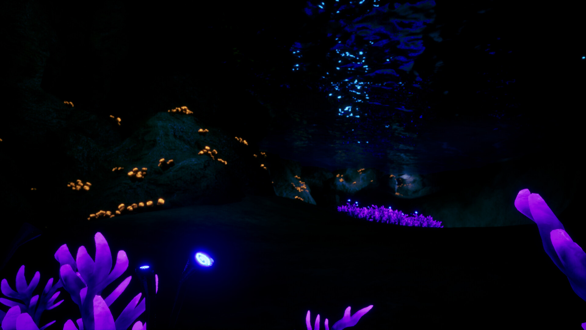 Arise from Shadows #12